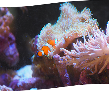 ファーストビュースライド画像